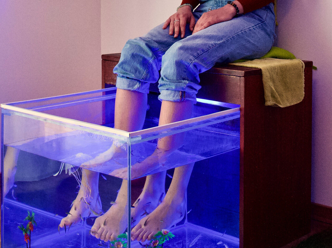 Fish Massage Villeveyrac-Villeveyrac必去景点