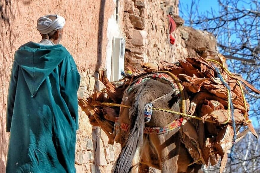 Marrakesh Day Tour景点图片