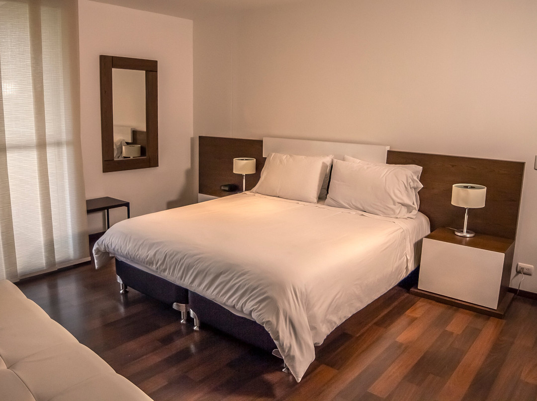 Mg Hotels And Suites Llanogrande主图