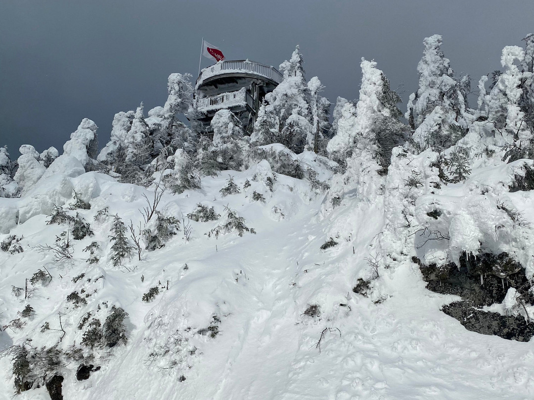 Auberge Sauvignon主图