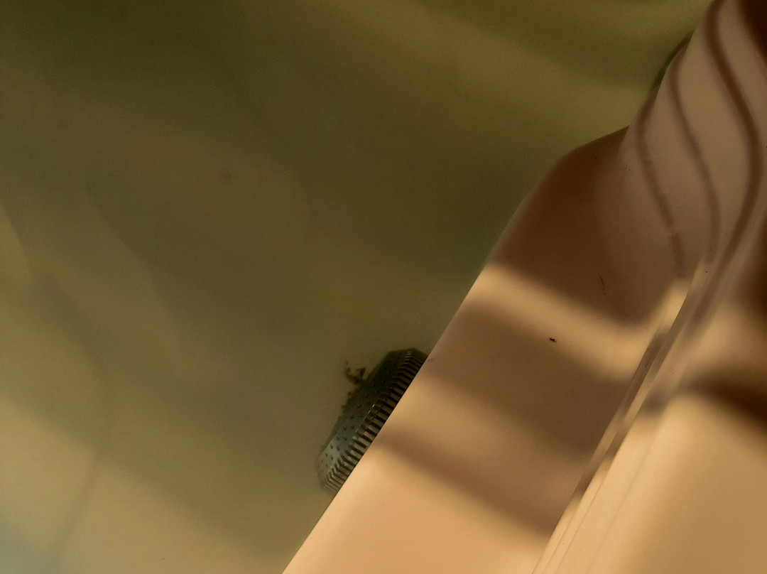 Hotel Cafe Plaza主图