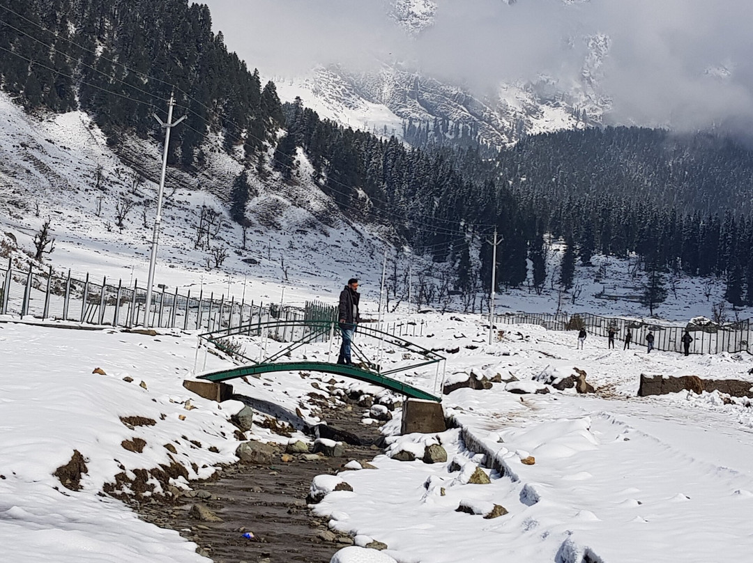 Young Bombay Tours Kashmir-斯利那加必去景点