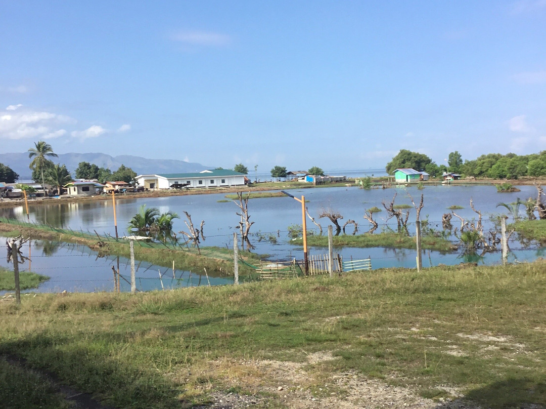 Kalanganan Bai Walk-Cotabato City必去景点