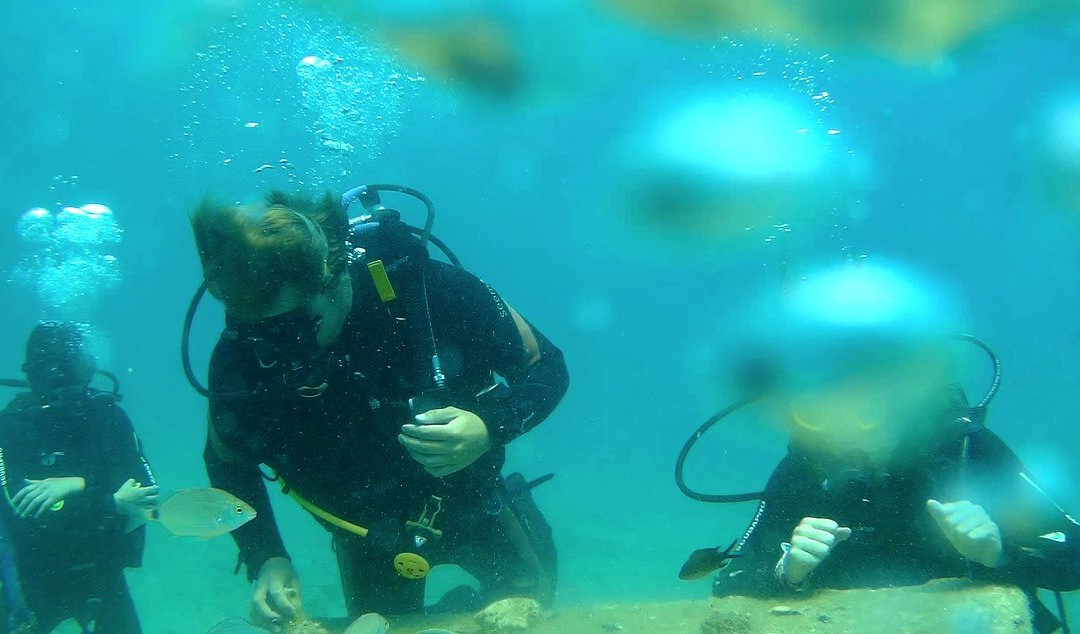 Trogir Diving Center - Day Dive景点图片