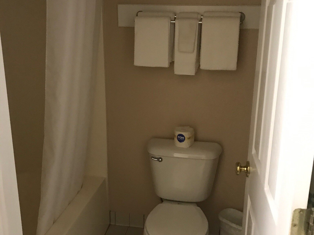 欧塞奇海滩盖斯特豪斯旅馆&套房酒店主图