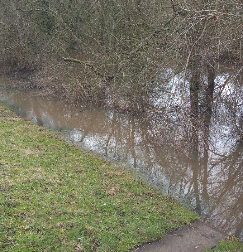 Fox Covert Local Nature Reserve-Long Eaton必去景点