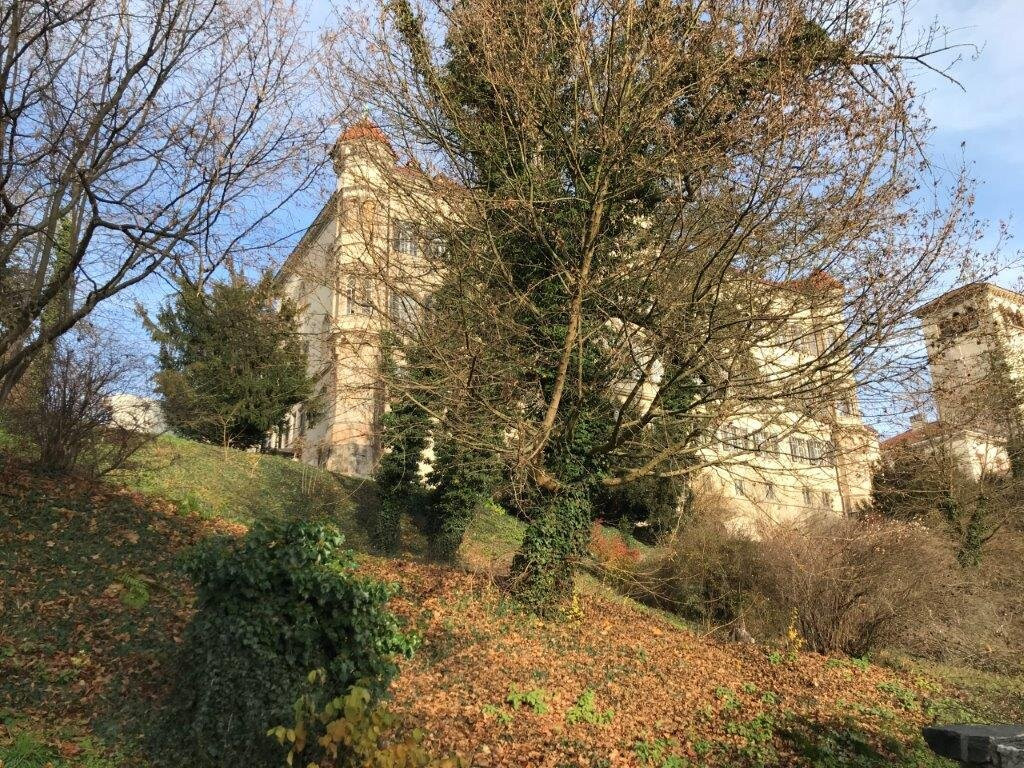 Schlosspark Waldenburg景点图片