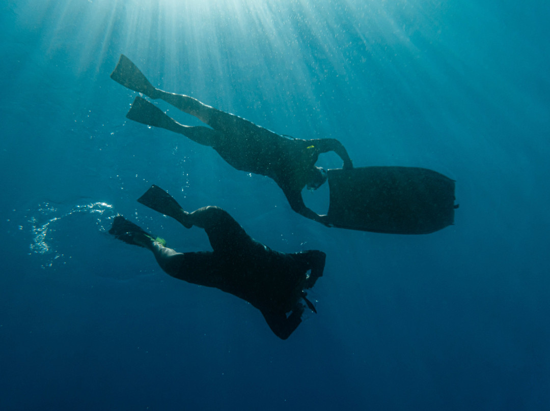 Maui Snorkel Tours景点图片