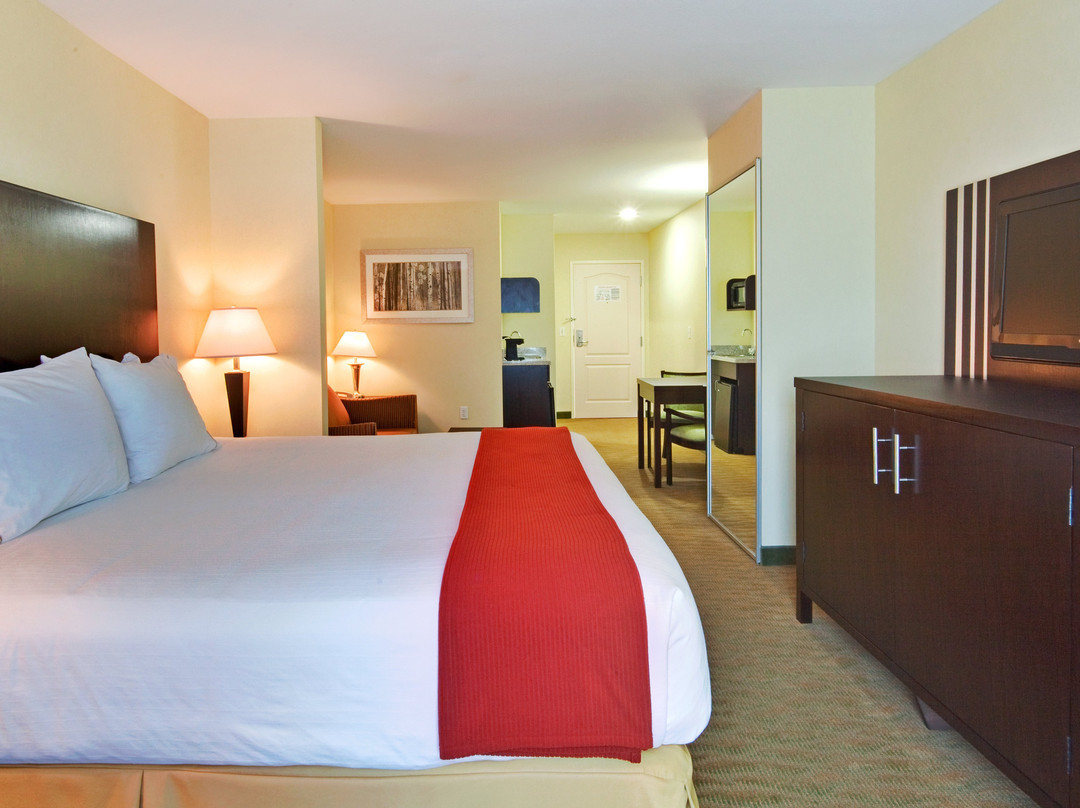 Holiday Inn Express & Suites Hamburg By IHG主图