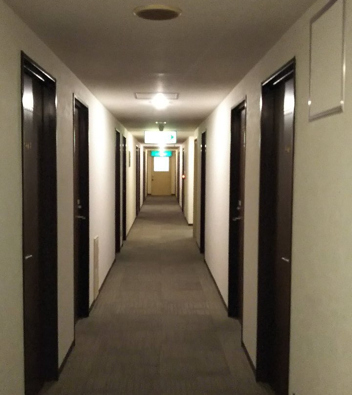 Toyohashi Station Hotel主图