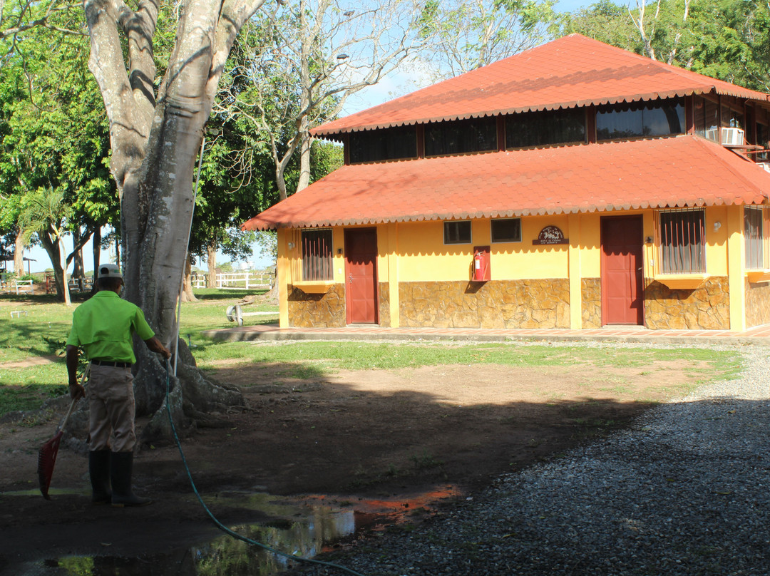 Hato El Cedral