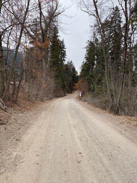 Yellow Bay / Flathead Lake State Park景点图片