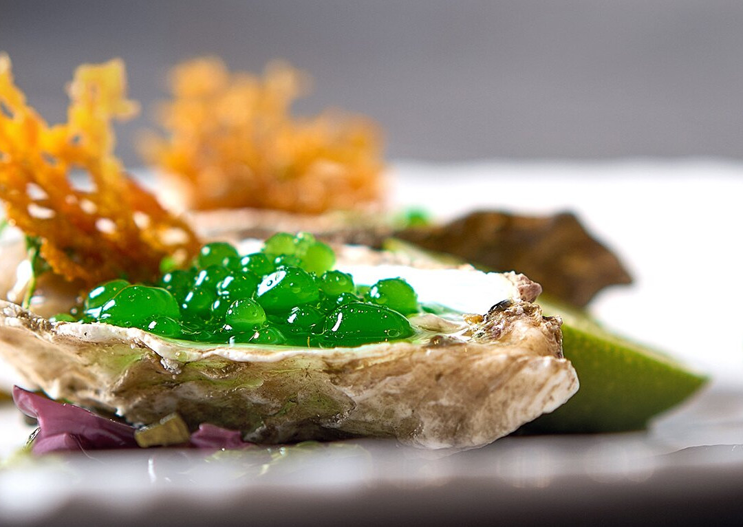 Journey - Urchin Restaurant