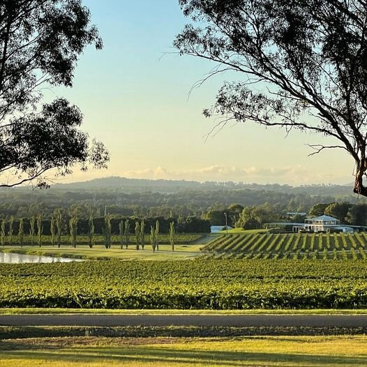 马丁尼马奇酒店主图