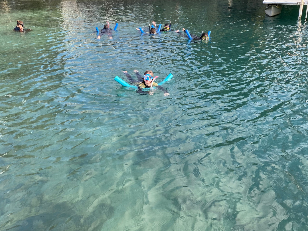 Adventure Diving-克里斯特尔里弗必去景点