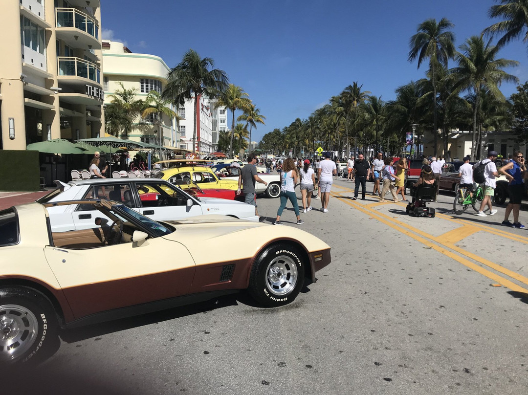 Lummus Park Historic District-迈阿密必去景点