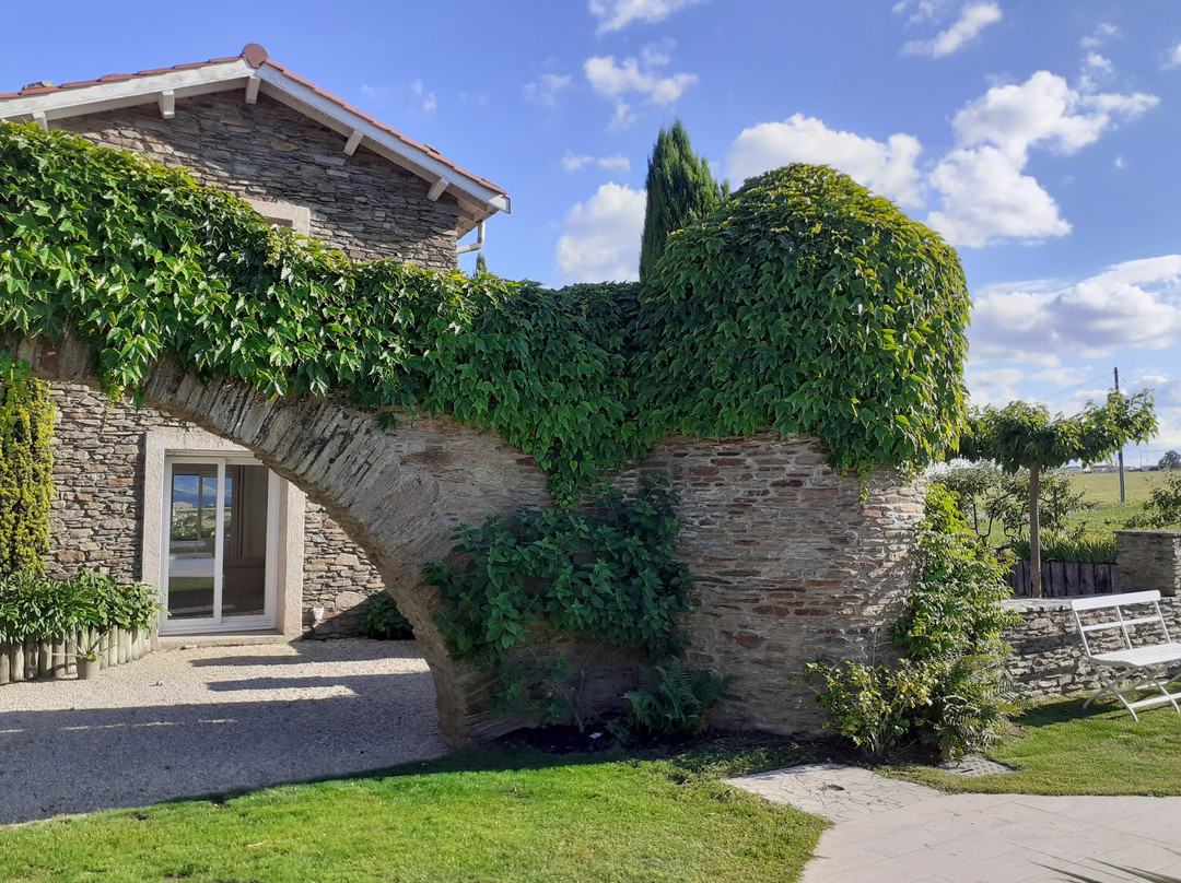 Relais de Navon主图