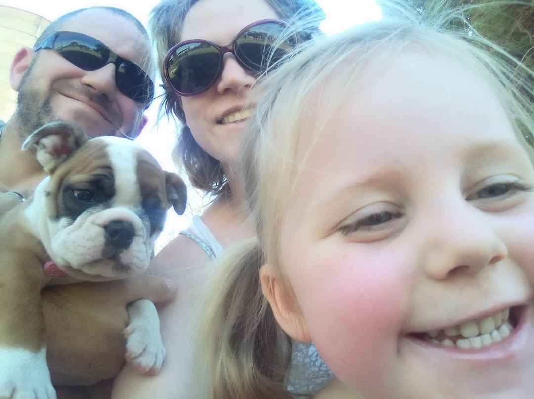 Ocean Crest Motel主图