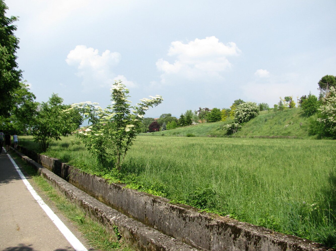 Parco Giovanni Callioni景点图片