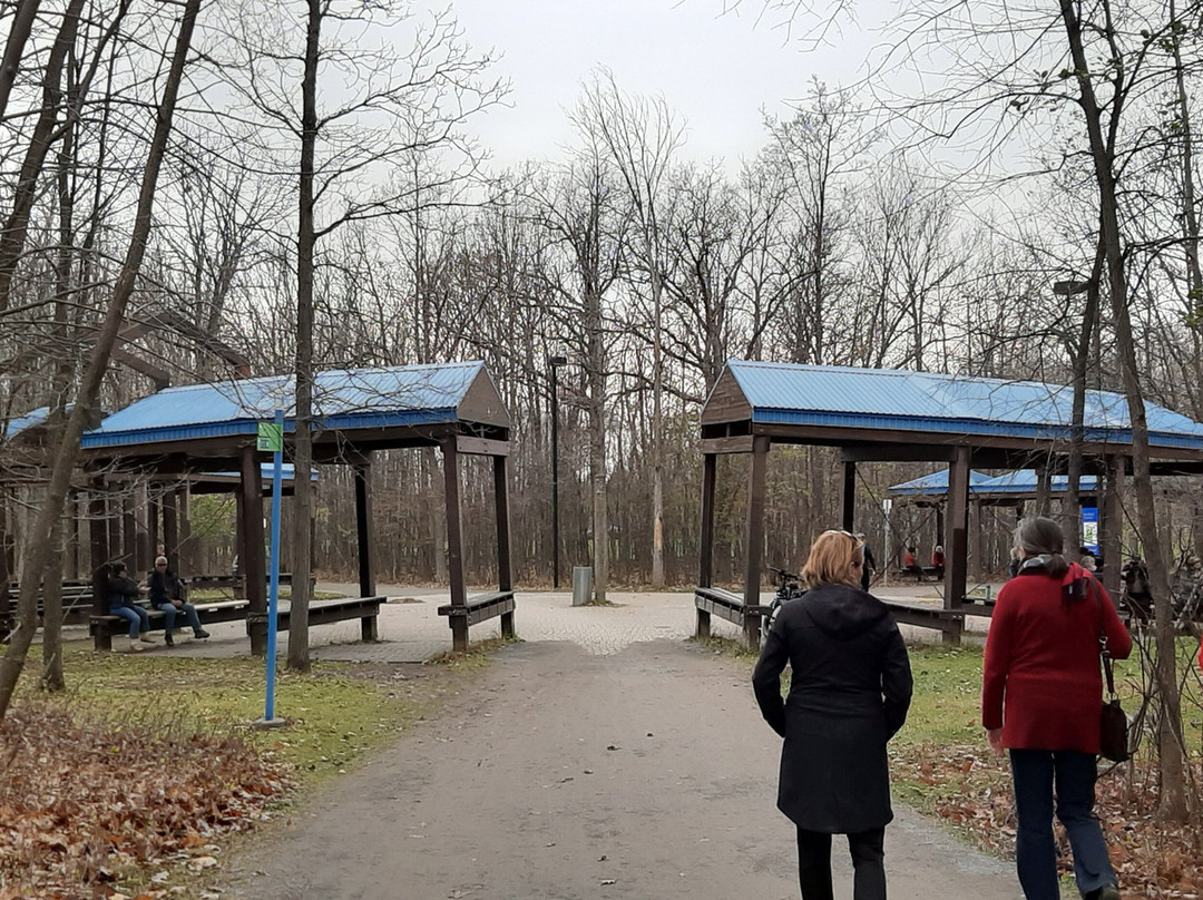 Parc Michel-Chartrand-隆格伊必去景点
