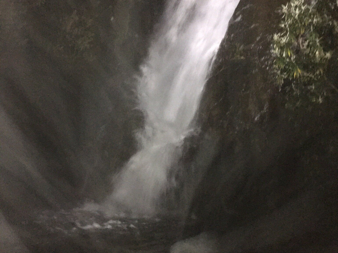 Steavenson Falls景点图片
