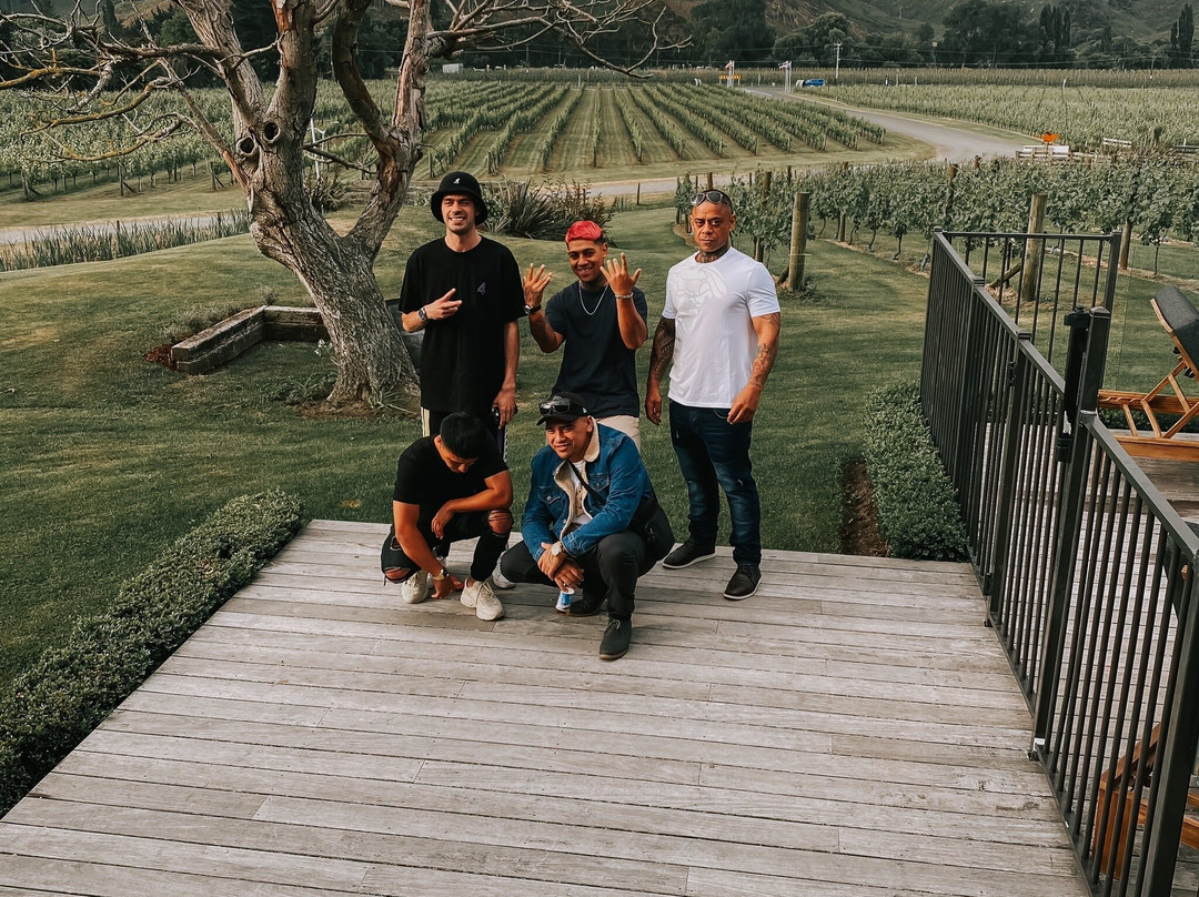Kiwiesque Luxury Vineyard Accommodation Wine Safaris with Bayden Wilson景点图片