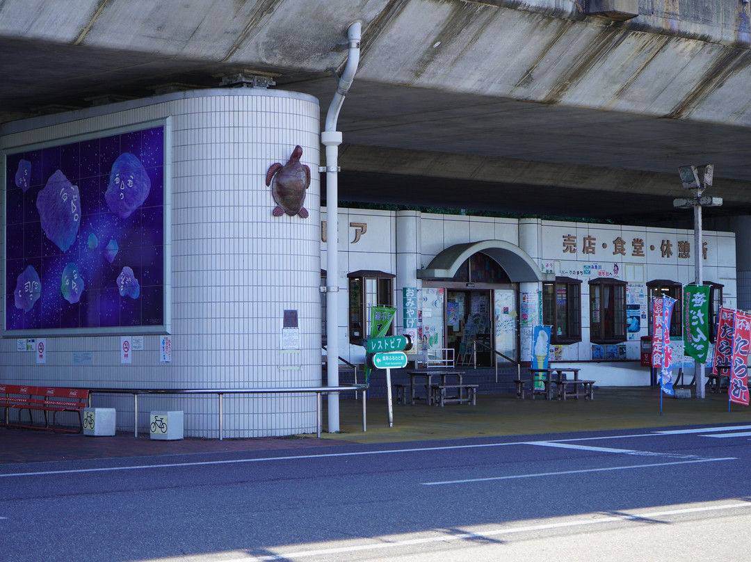 Oyashirazu Pier Park Michi-no-Eki景点图片