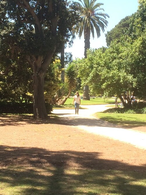 St Kilda Botanical Gardens景点图片