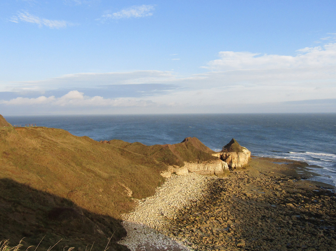 Thornwick Bay景点图片