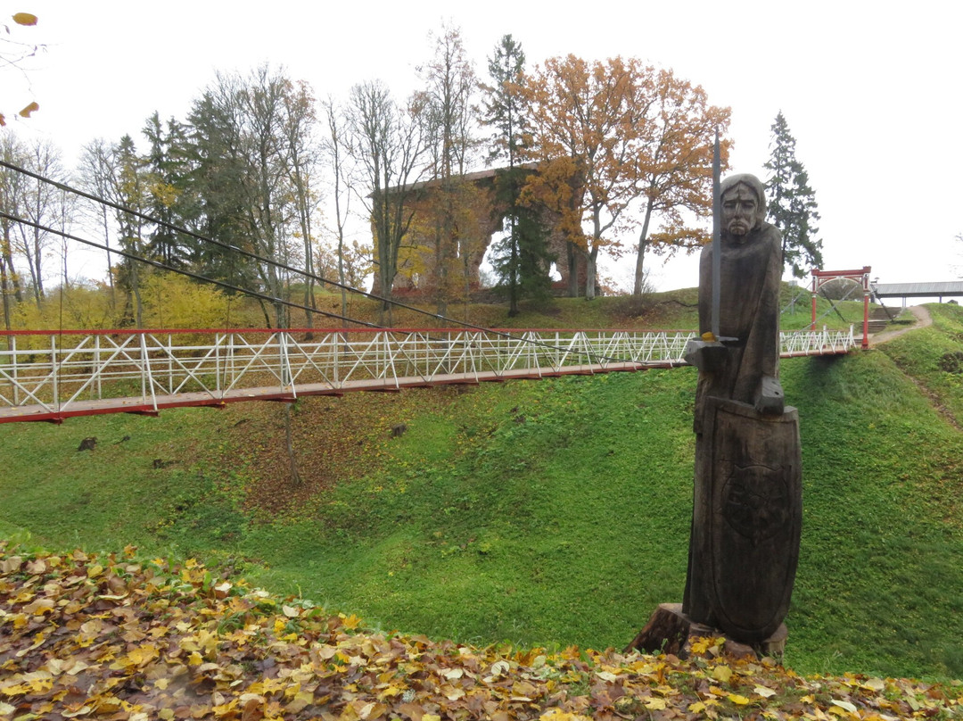 Viljandi Rope Bridge-维尔扬迪必去景点
