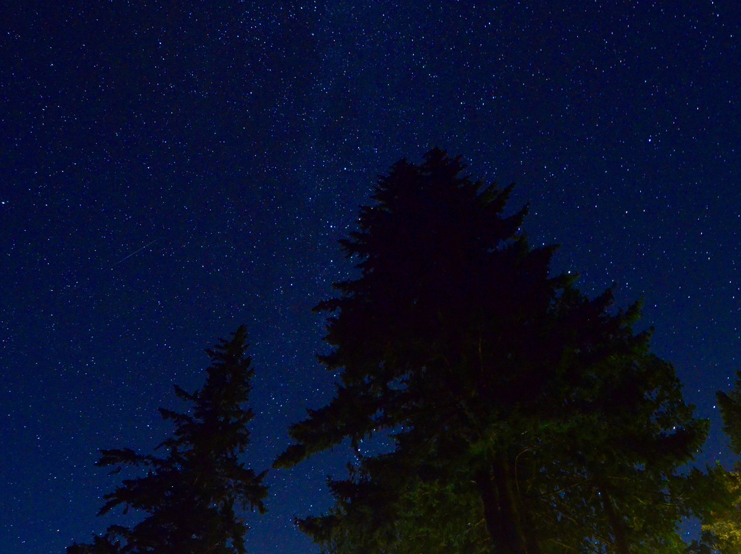新月湖酒店主图