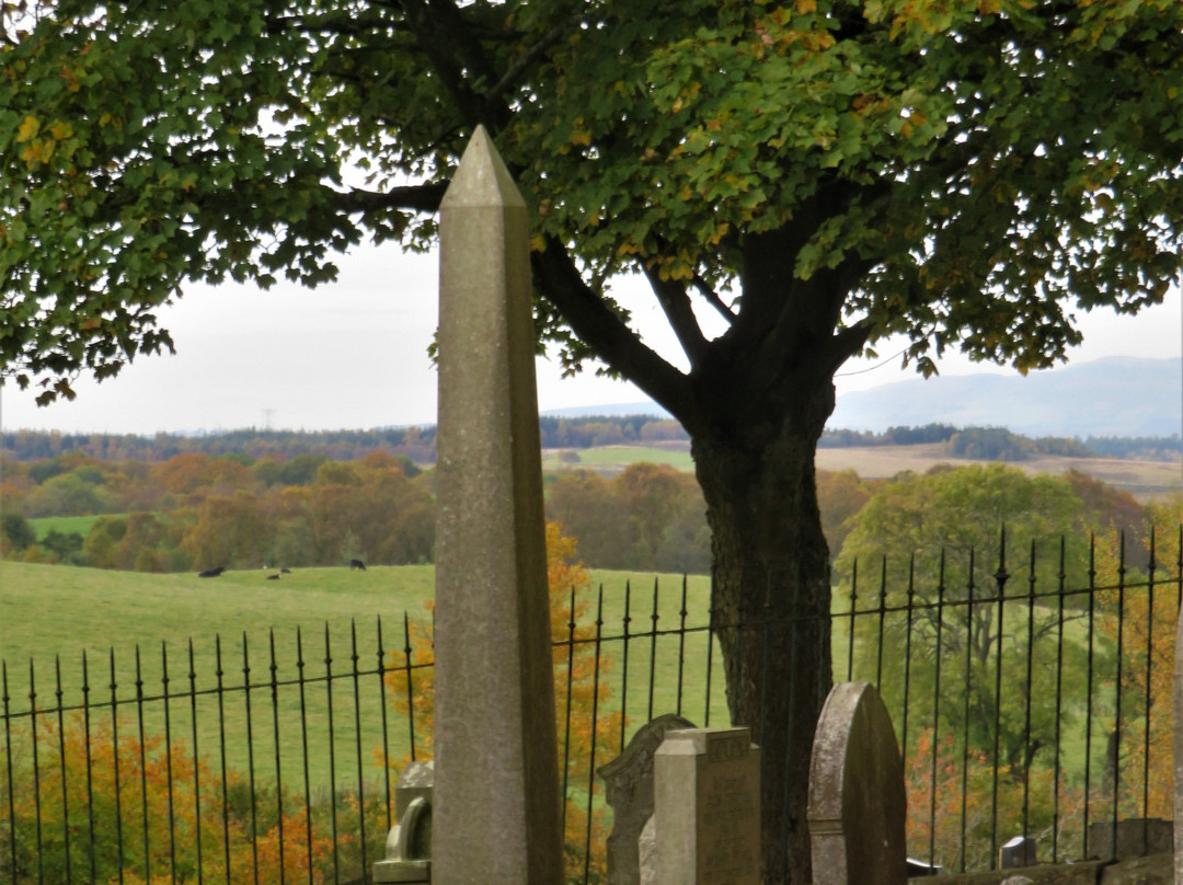 Saline Cemetery-Saline必去景点