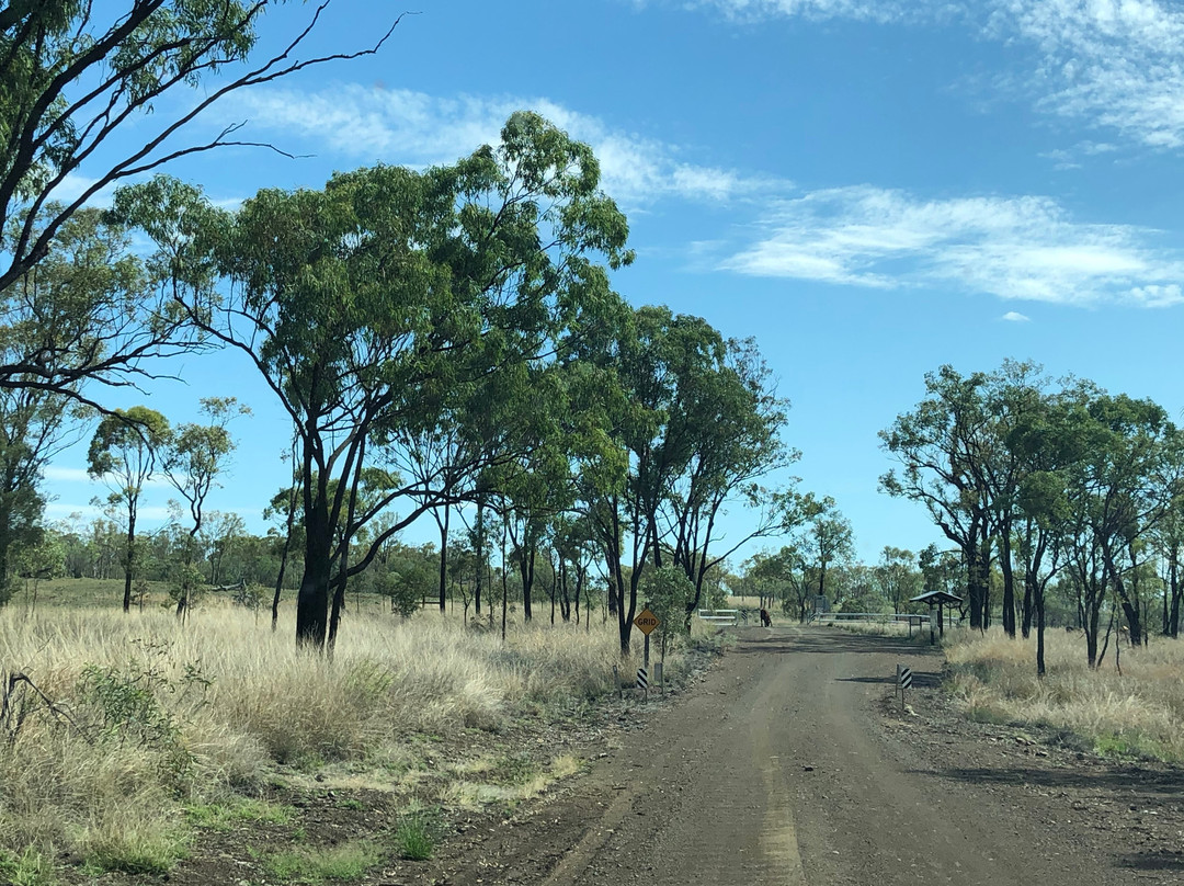 Minerva Hills National Park-Springsure必去景点