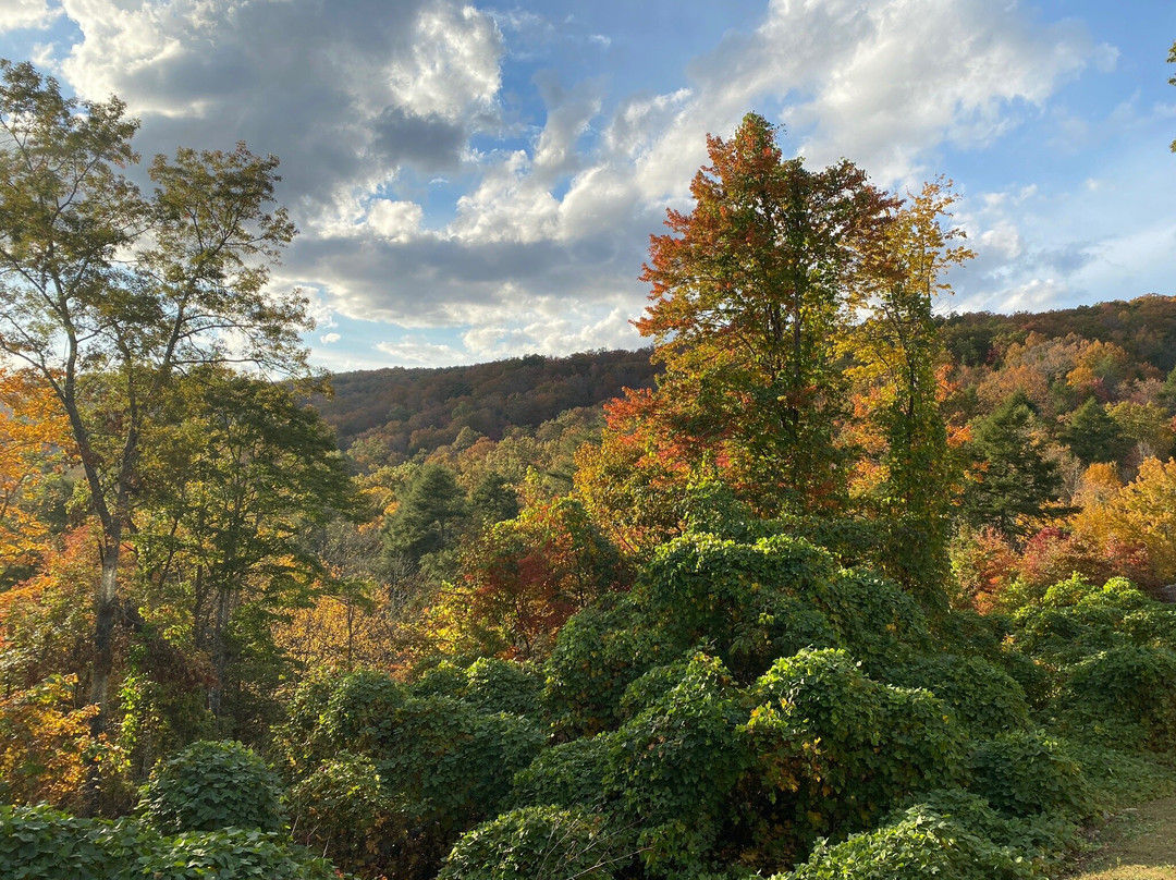 Pine Mountain State Resort Park - Lodging主图