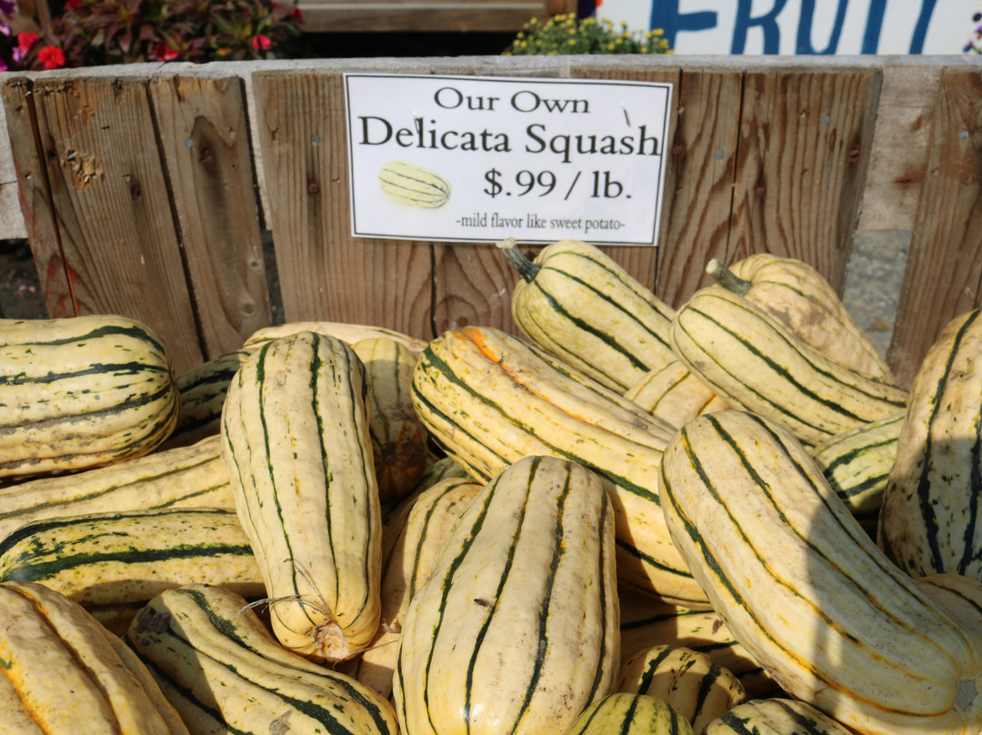 Hager's Farm Market-Shelburne Falls必去景点