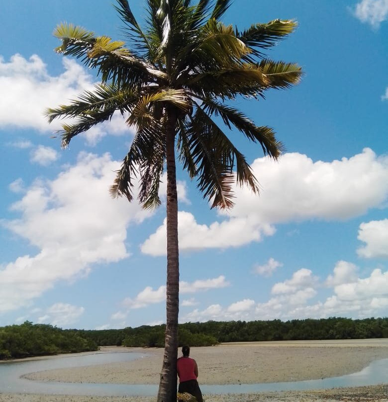 Itamaracá-累西腓必去景点