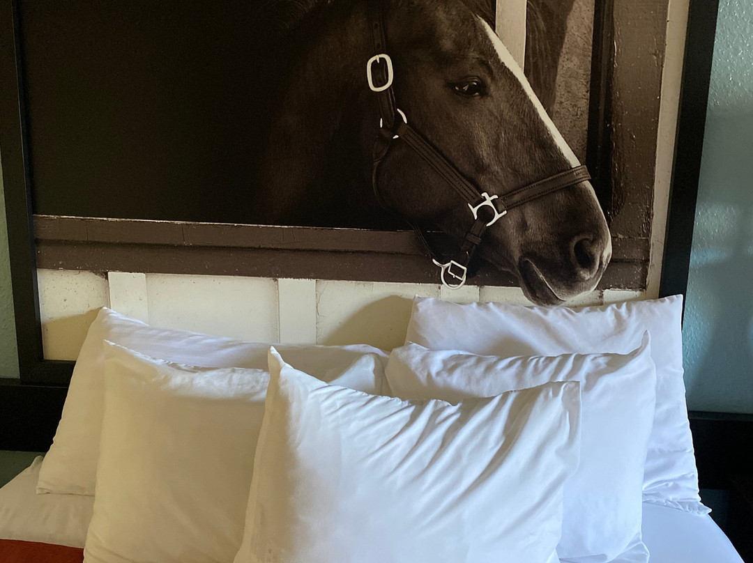 里士满速8酒店主图