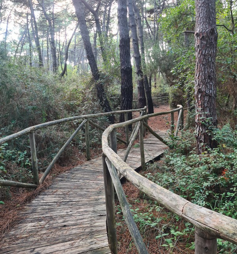 Giardino Botanico di Porto Caleri景点图片