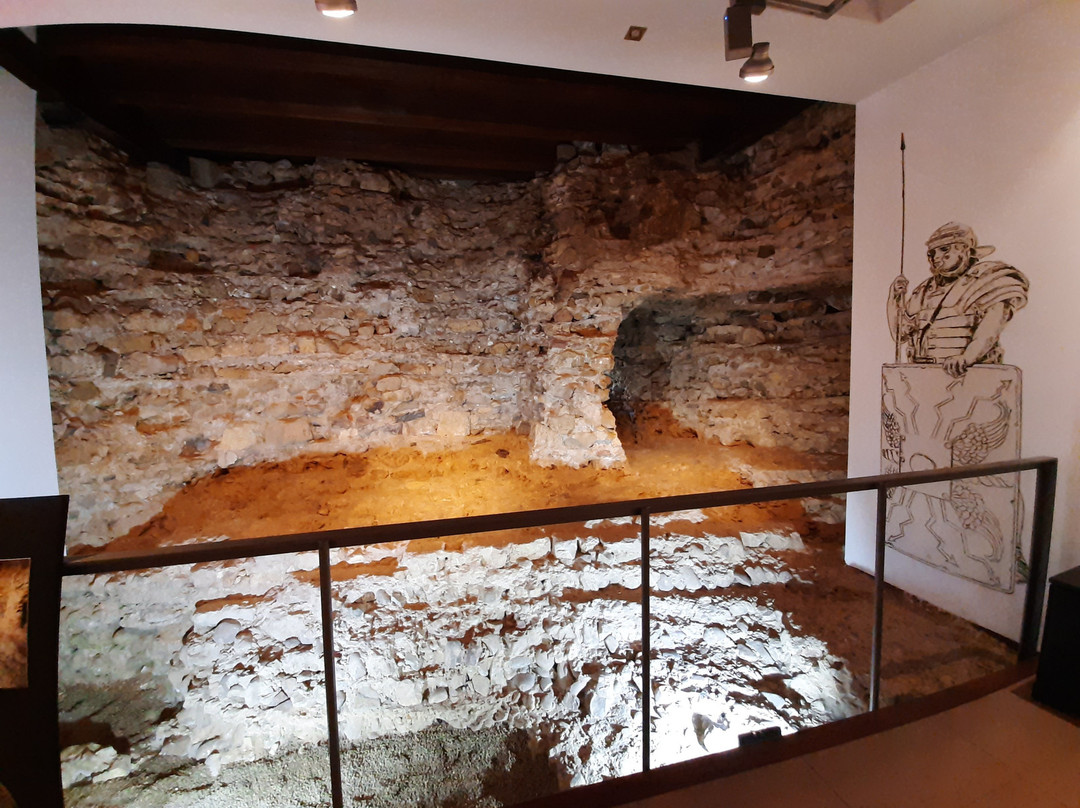Centro de Interpretacion Del Leon Romano-莱昂必去景点