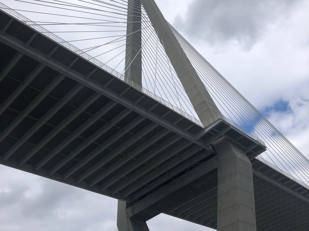 Charlotte Harbor Tours-恩格尔伍德必去景点