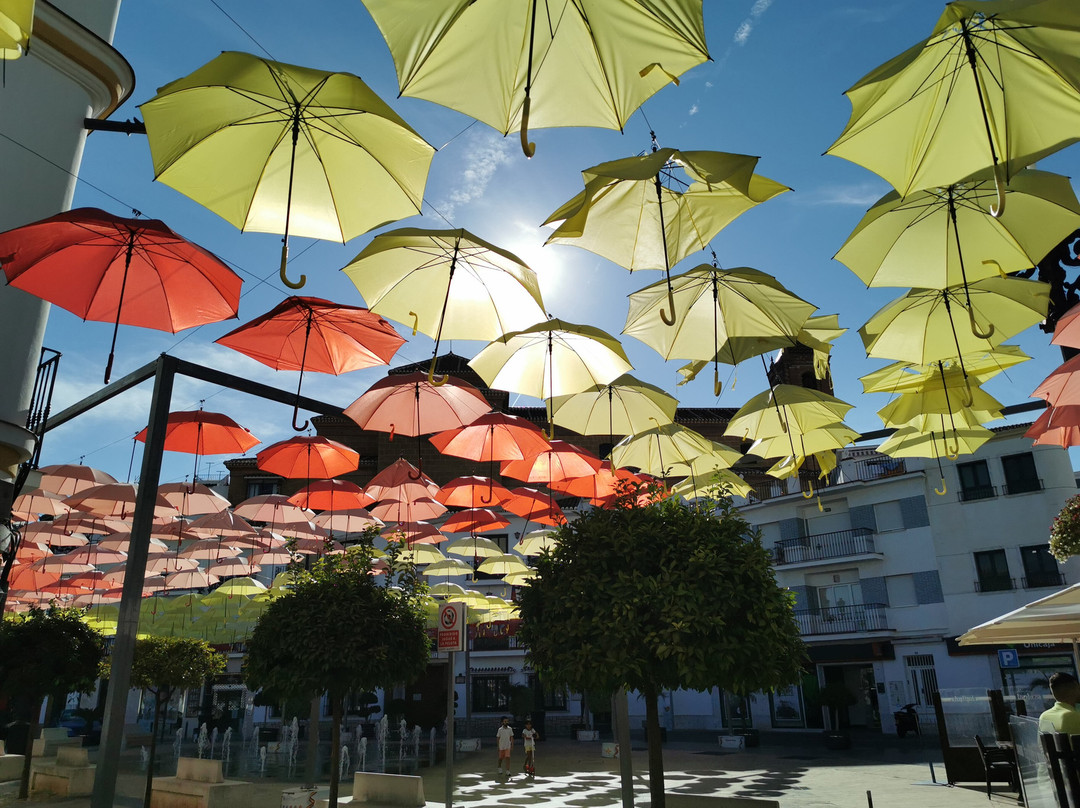 Plaza De La Constitucion景点图片