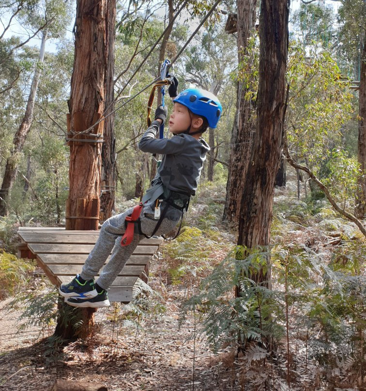 Treetops Adventure Yeodene-Yeodene必去景点