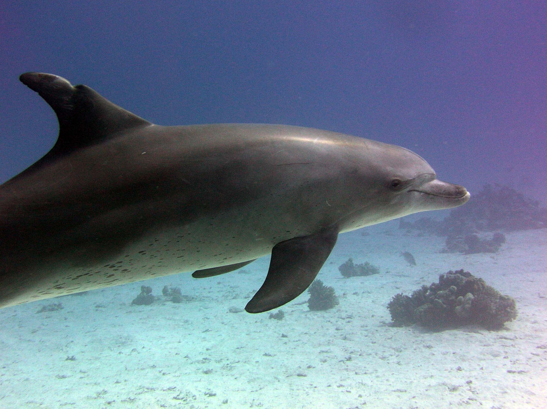 Got Your Guides-马卡迪湾必去景点
