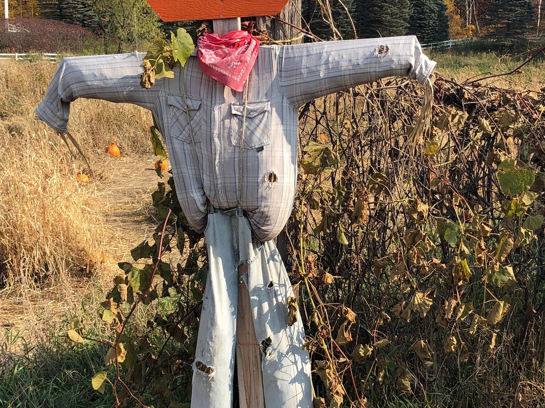 Collegeville Orchards景点图片