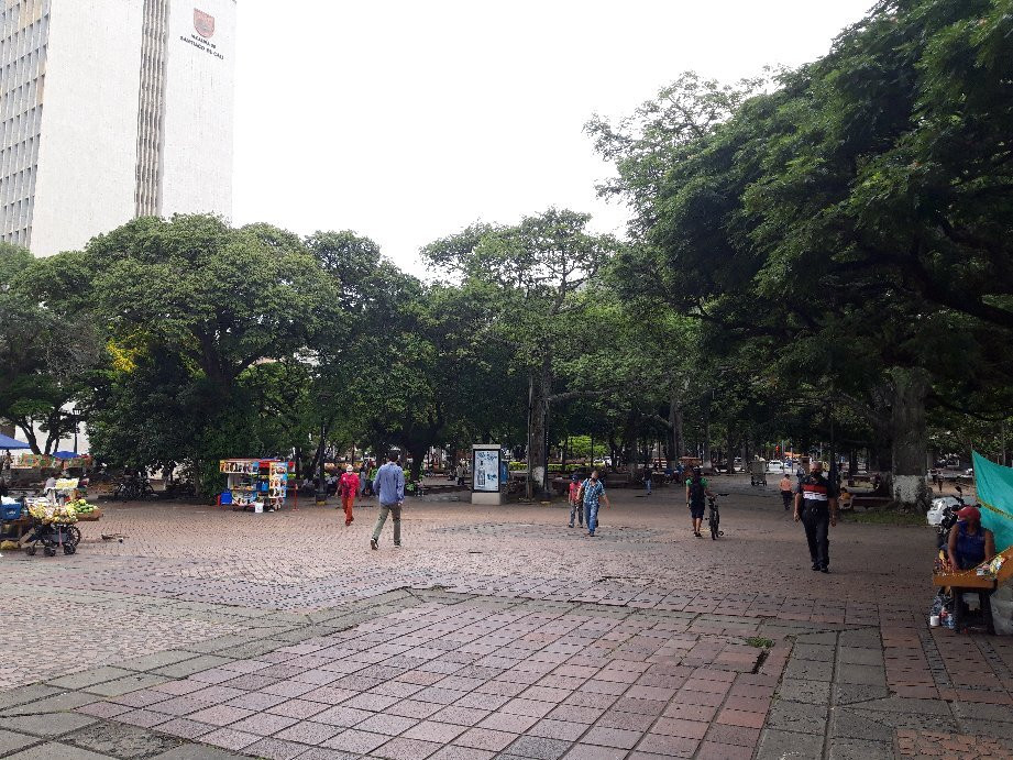 Plaza de Bolivar-Palmira必去景点