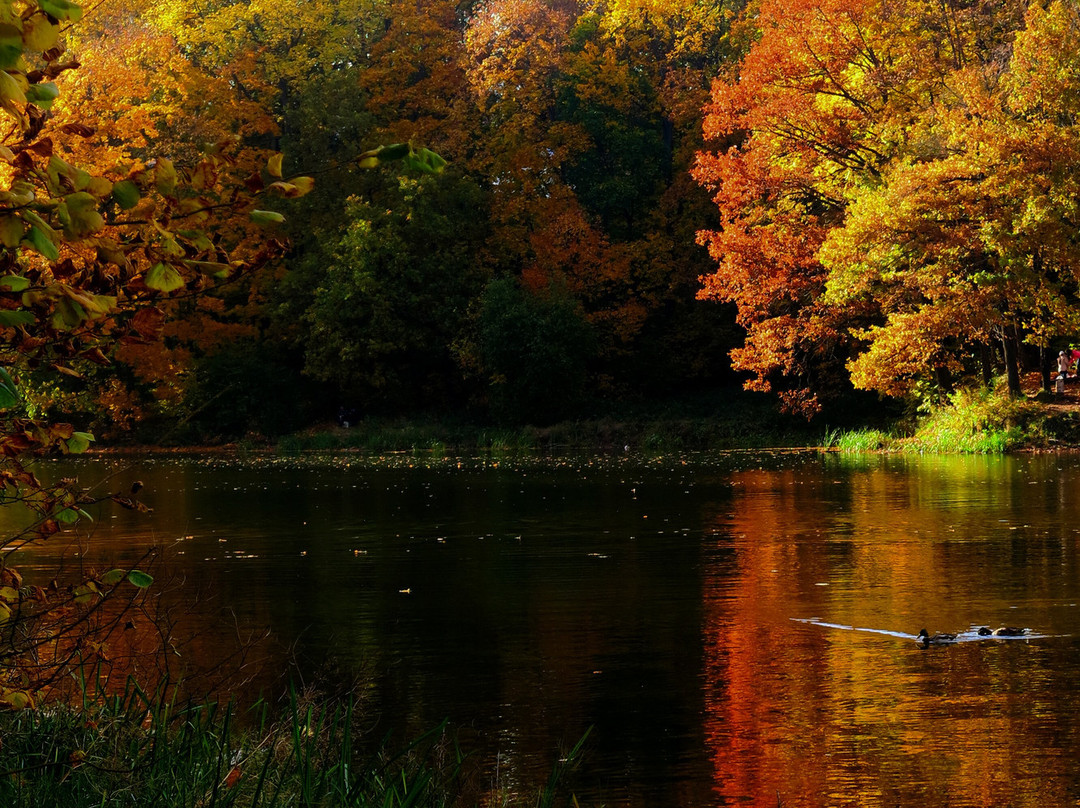 Beach on Shhelokovskiy Khutor-下诺夫哥罗德必去景点