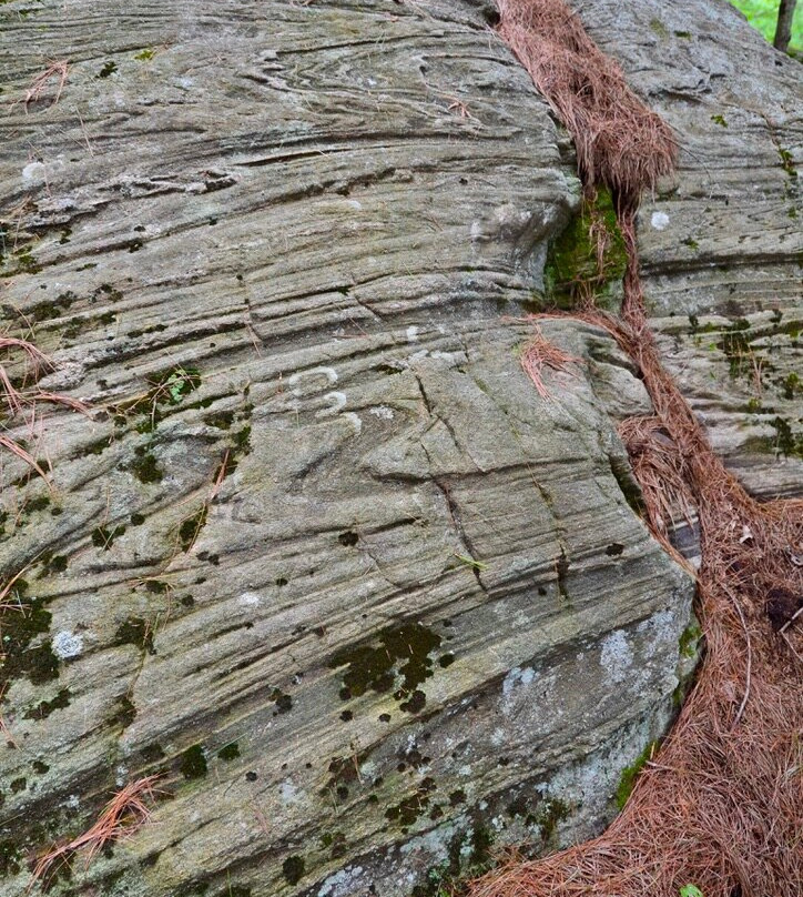 Wilsons Falls景点图片