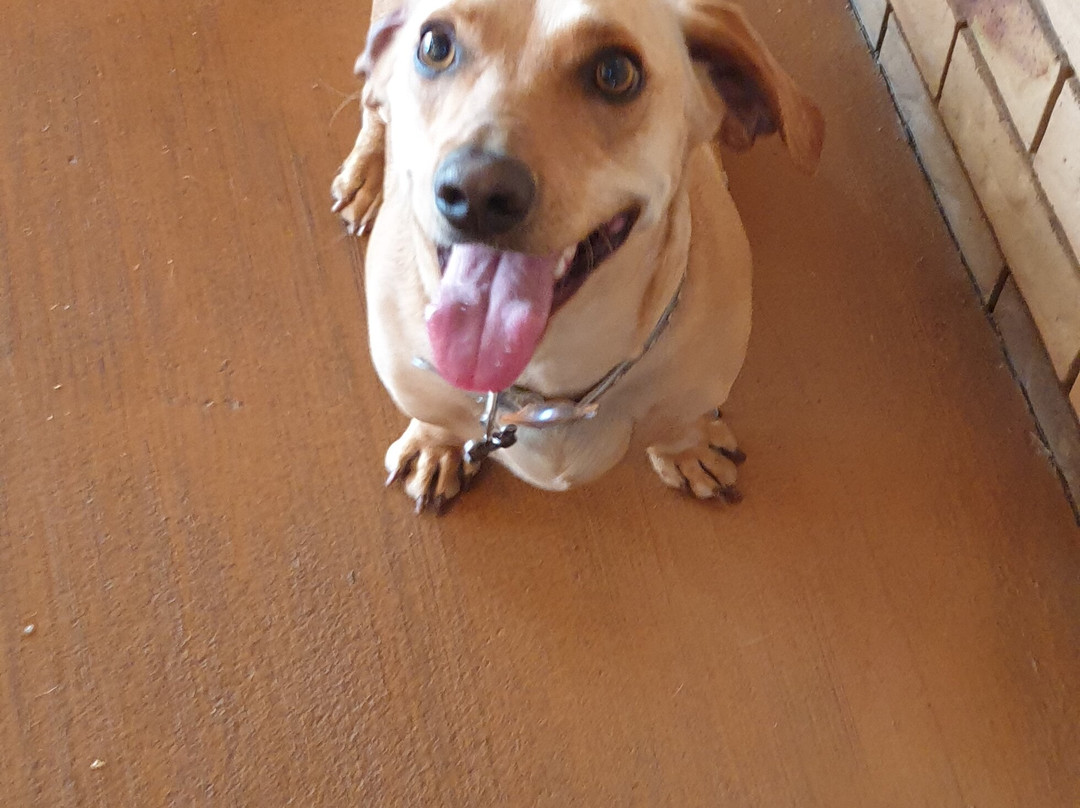 森雷汽车旅馆主图