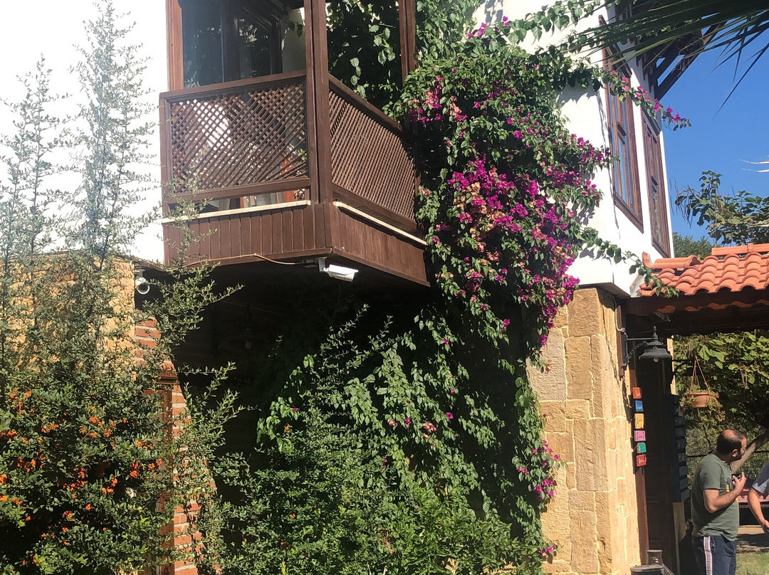 Daidalos Boutique Hotel主图