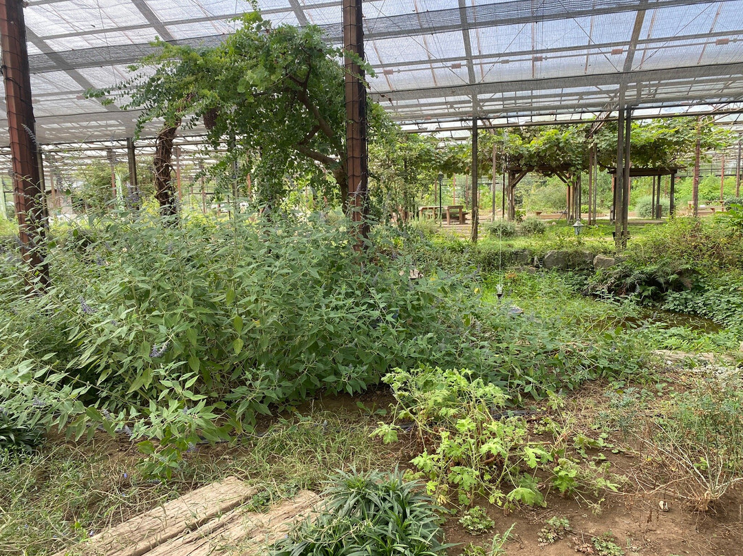 Otaki Herb Garden-大多喜町必去景点